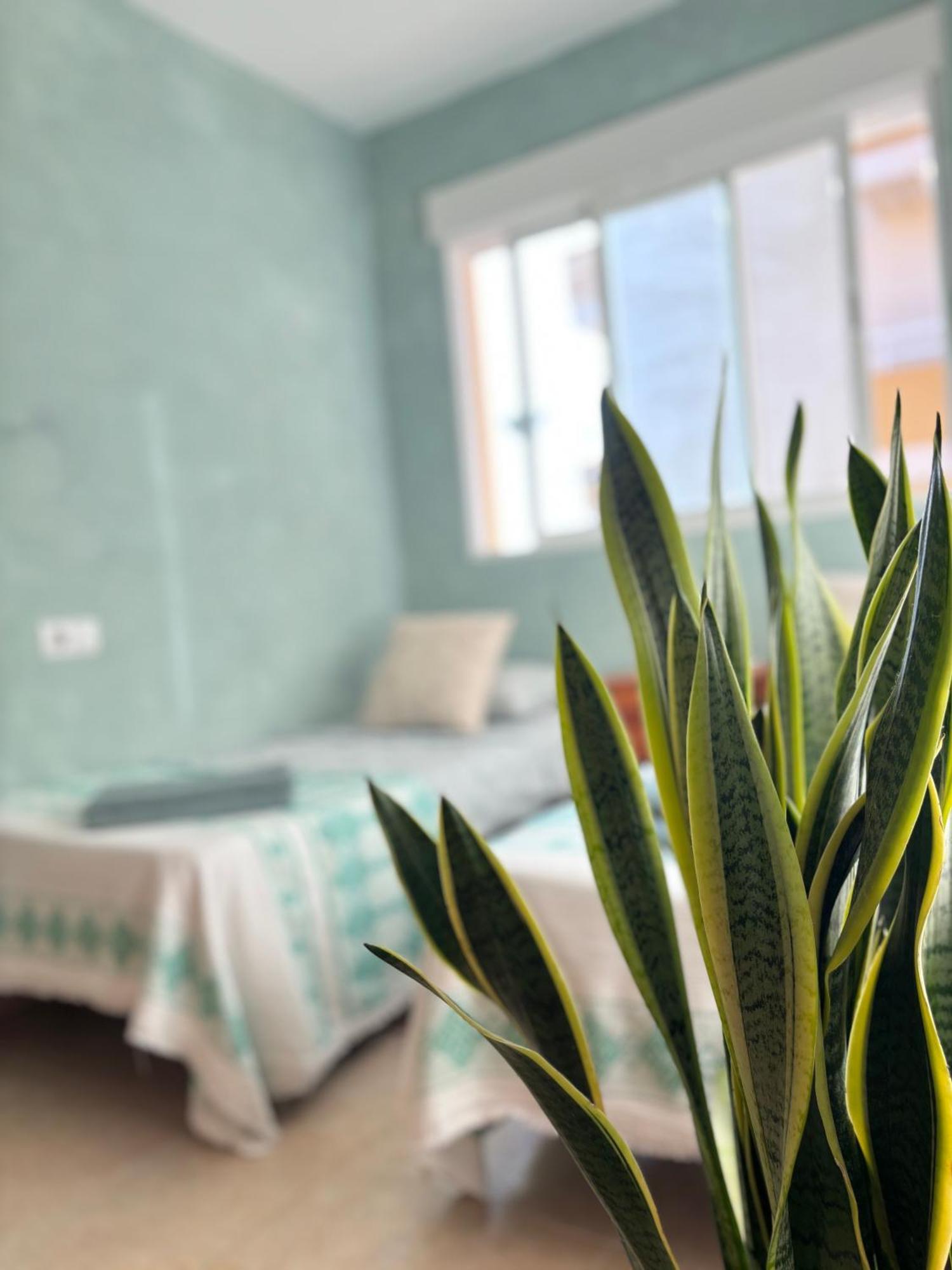 Playa De Miramar - 3 Min Walk To The Beach, Family-Friendly, Near Gandia Ngoại thất bức ảnh
